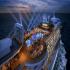 Image Gallery of Cruise with Singapore