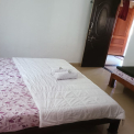 Image Gallery of Nest Estate Homestay