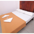 Image Gallery of Nest Estate Homestay