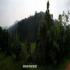 Image Gallery of Silent Valley Resort