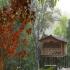 Image Gallery of Silent Valley Resort