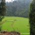 Image Gallery of Silent Valley Resort