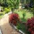 Image Gallery of Silent Valley Resort