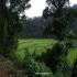 Image Gallery of Silent Valley Resort