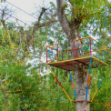Image Gallery of Honey Dews Exotica Resort
