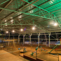 Image Gallery of Honey Dews Exotica Resort