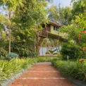 Image Gallery of Honey Dews Exotica Resort
