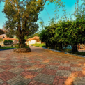Image Gallery of Honey Dews Exotica Resort