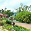 Image Gallery of Honey Dews Exotica Resort