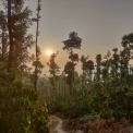 Image Gallery of Kambalakaad Homestay