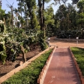 Image Gallery of Kambalakaad Homestay