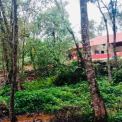 Image Gallery of Aurora Nature Stay