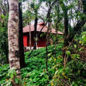 Image Gallery of Aurora Nature Stay