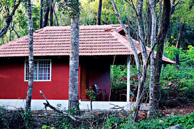 Aurora Homestay in Mudigere of Chikmagalur | Book Rooms at Aurora Homestay at Chikmagalur