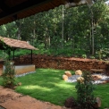 Image Gallery of Misty Woods Resort