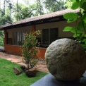 Image Gallery of Misty Woods Resort