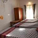 Image Gallery of Misty Woods Resort