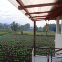 Image Gallery of Green Mount Homestay