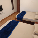 Image Gallery of Green Mount Homestay