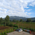 Image Gallery of Green Mount Homestay