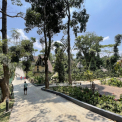 Image Gallery of Inika Resort