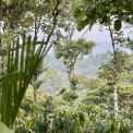 Image Gallery of Inika Resort