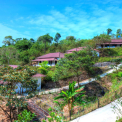 Image Gallery of Jungle Bride Riverside Resort