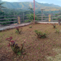 Image Gallery of Cliff Haven Homestay