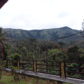 Image Gallery of Cliff Haven Homestay