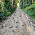 Image Gallery of Cliff Haven Homestay