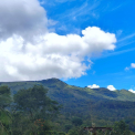 Image Gallery of Cliff Haven Homestay