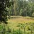 Image Gallery of Camp Coorg Homestay