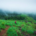 Image Gallery of Fogg Villa Homestay