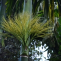 Image Gallery of Birds Nest Homestay