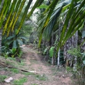 Image Gallery of Birds Nest Homestay