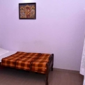 Image Gallery of Birds Nest Homestay
