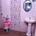 Image Gallery of Birds Nest Homestay