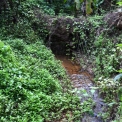 Image Gallery of Birds Nest Homestay