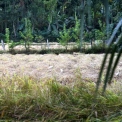 Image Gallery of Birds Nest Homestay