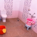 Image Gallery of Birds Nest Homestay