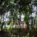 Image Gallery of Birds Nest Homestay