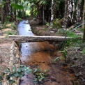 Image Gallery of Birds Nest Homestay