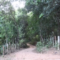 Image Gallery of Birds Nest Homestay