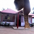 Image Gallery of Birds Nest Homestay