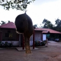 Image Gallery of Birds Nest Homestay