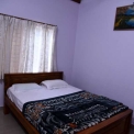 Image Gallery of Birds Nest Homestay
