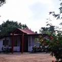 Image Gallery of Birds Nest Homestay