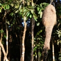 Image Gallery of Birds Nest Homestay