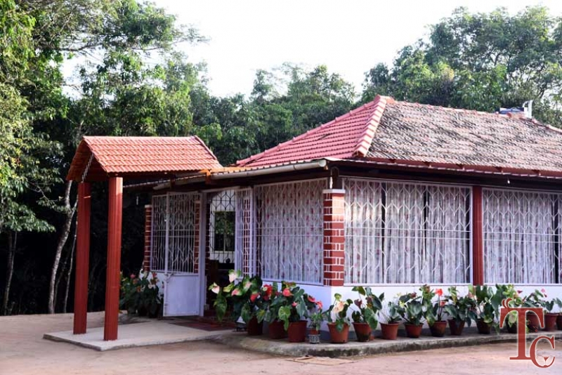 Reserve Birds Nest Homestay near Sringeri | Book Birds Nest Homestay in ...