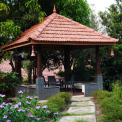 Image Gallery of Coorg Little Jungle Homestay